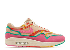 Air Max 1 Familia (WORN)