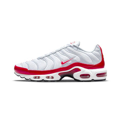 Air Max TN Plus 'Air Max 1