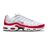 Air Max TN Plus 'Air Max 1
