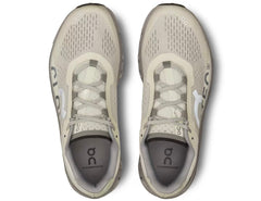 Running Cloudmonster Ice Alloy (M)