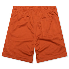 Flight Artist Series Mesh Shorts - Light Sienna/Phantom