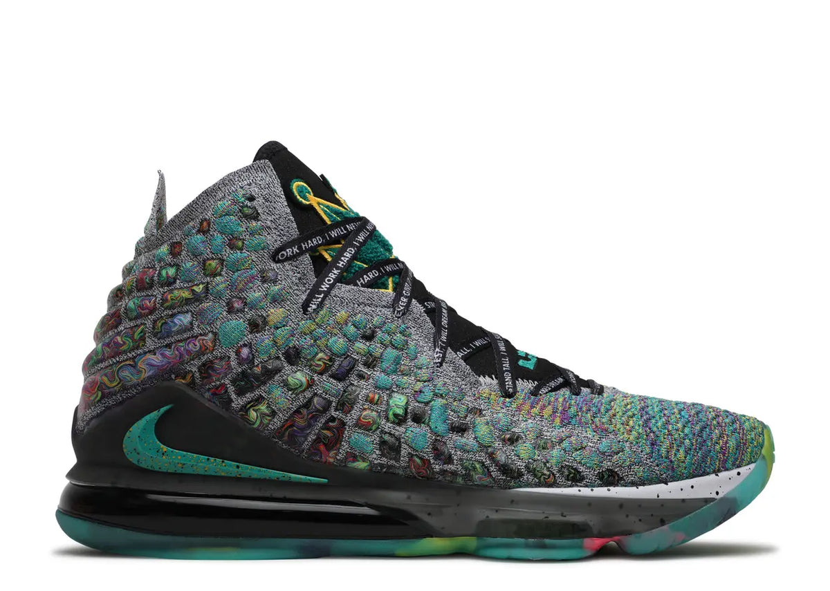 LeBron 17 I Promise