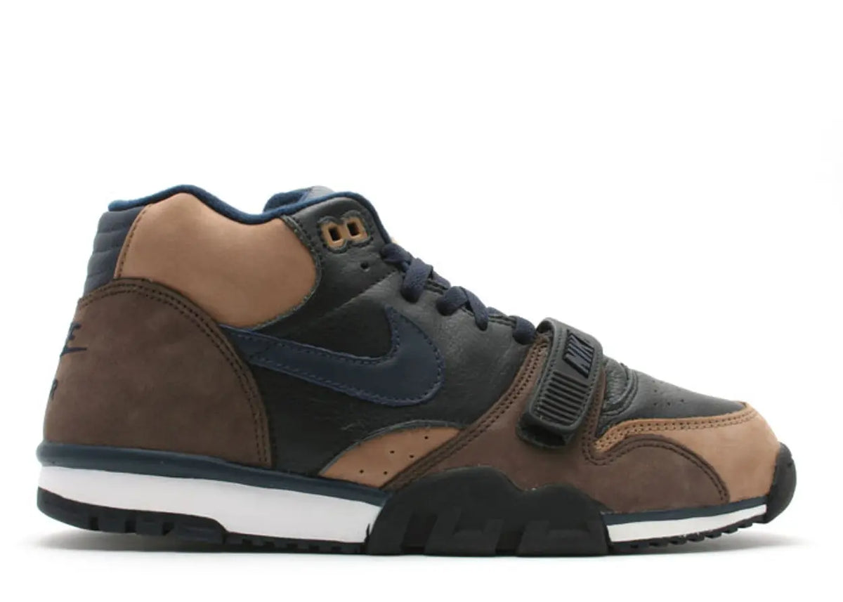 Air Trainer 1 SB Paul Brown (2003) (WORN)