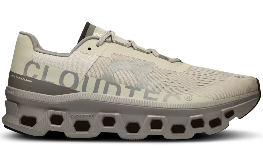 Running Cloudmonster Ice Alloy (M)