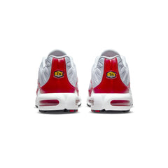 Air Max TN Plus 'Air Max 1