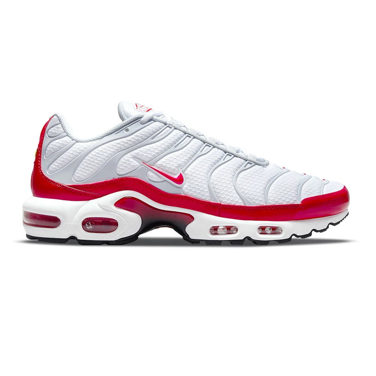 Air Max TN Plus 'Air Max 1