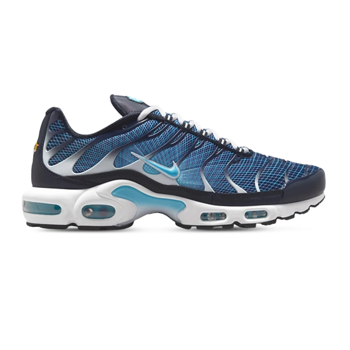 Air Max Plus TN 'Dark Obsidian
