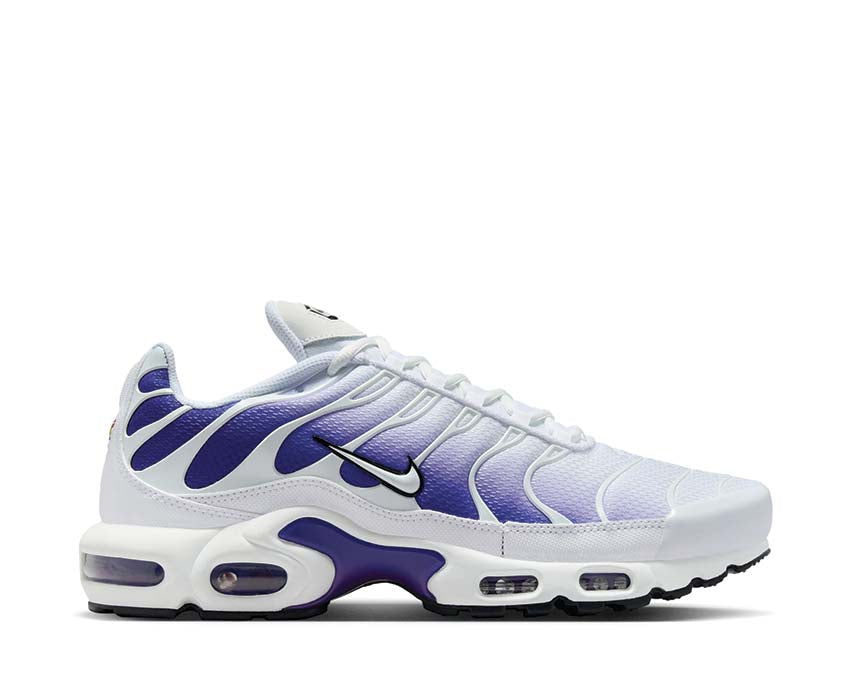 Air Max Plus "Deep Night